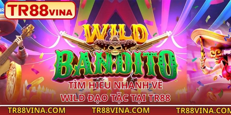 Wild Đạo Tặc – Hành Trình Cướp Biển Kịch Tính Tại TR88 2 Tìm hiểu nhanh về Wild Đạo Tặc tại TR88