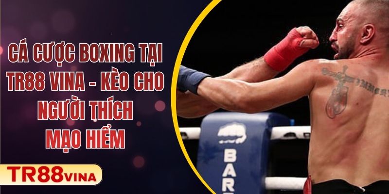 Cá Cược Boxing Tại TR88 VINA – Kèo Cho Người Thích Mạo Hiểm 1 Cá Cược Boxing Tại TR88 VINA – Kèo Cho Người Thích Mạo Hiểm