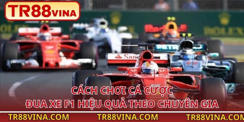 Đua Xe F1 Tại TR88 – Cá Cược Bùng Nổ Tốc Độ, Cháy Cùng Cảm Xúc 4 Cách chơi cá cược đua xe F1 hiệu quả theo chuyên gia