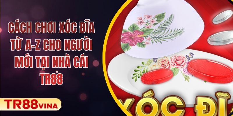 Cách Chơi Xóc Đĩa Từ A–Z Cho Người Mới Tại Nhà Cái TR88 1 Cách Chơi Xóc Đĩa Từ A–Z Cho Người Mới Tại Nhà Cái TR88