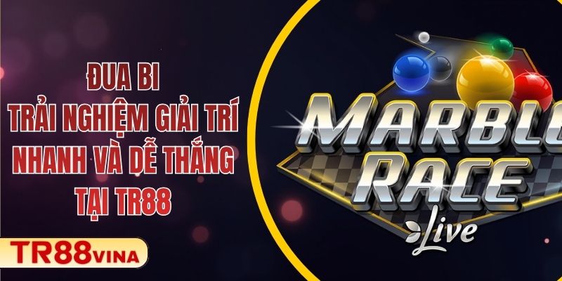 Đua Bi – Trải Nghiệm Giải Trí Nhanh Và Dễ Thắng tại TR88 1 Đua Bi – Trải Nghiệm Giải Trí Nhanh Và Dễ Thắng tại TR88